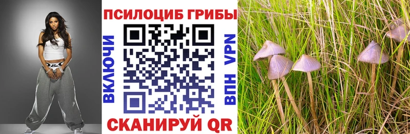 Псилоцибиновые грибы Cubensis  MEGA ONION  Кочубеевское 